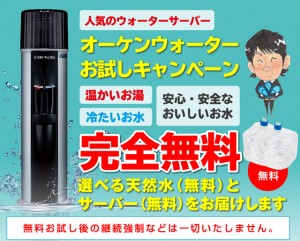 おためしキャンペーン