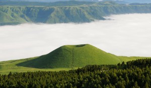 大分天領の銘水