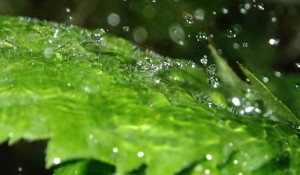 オーケンウォーターのウォーターサーバーで水漏れした場合の対処方法