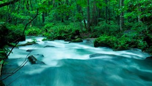 天然水について
