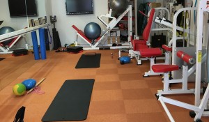 柔軟やフォームのチェックに