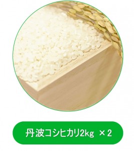 丹波のコシヒカリ2kg×2プレゼント